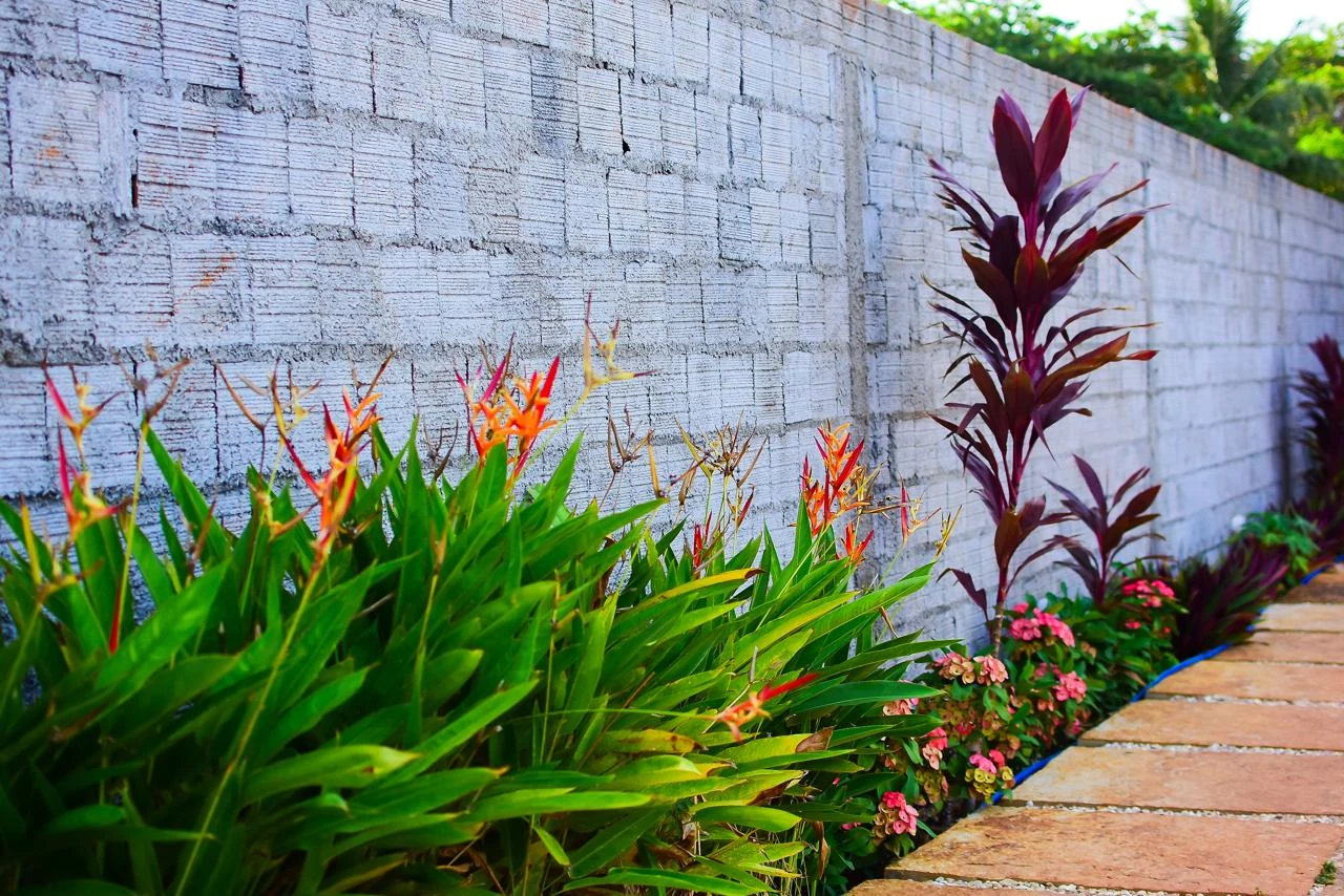 Canteros a lo largo del muro, casa en Jericoacoara