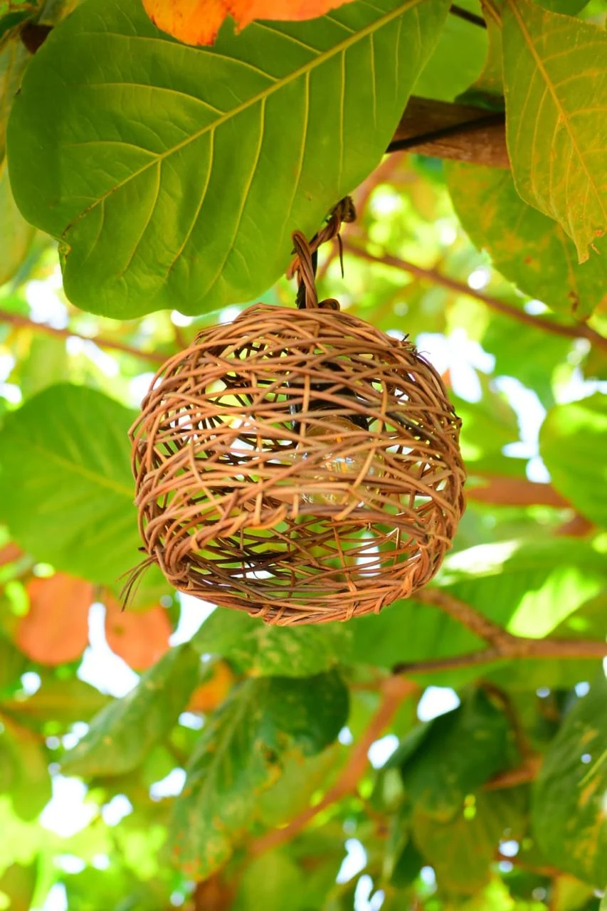 Lámpara de paja entre las hojas, casa en Jericoacoara